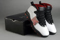 Air Jordan X (10) Retro