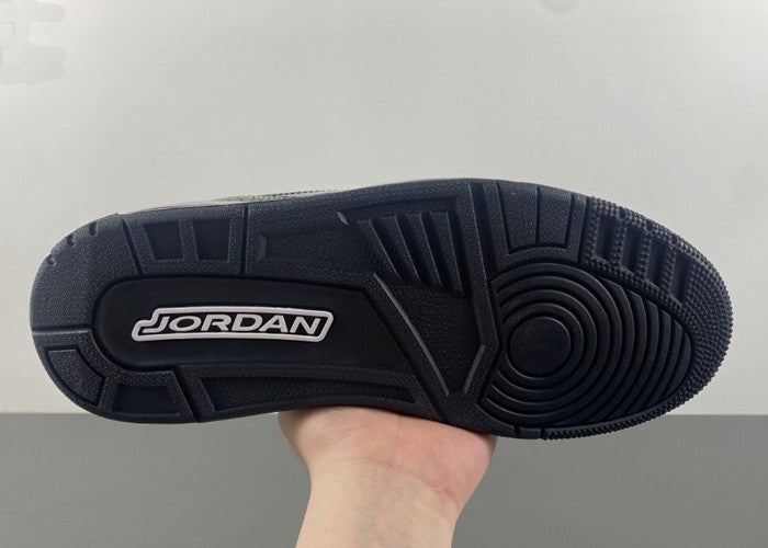 Air Jordan 3 Black Cat